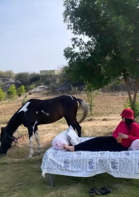 The Bagheera Bagh Jawai Ξενοδοχείο Bera Εξωτερικό φωτογραφία