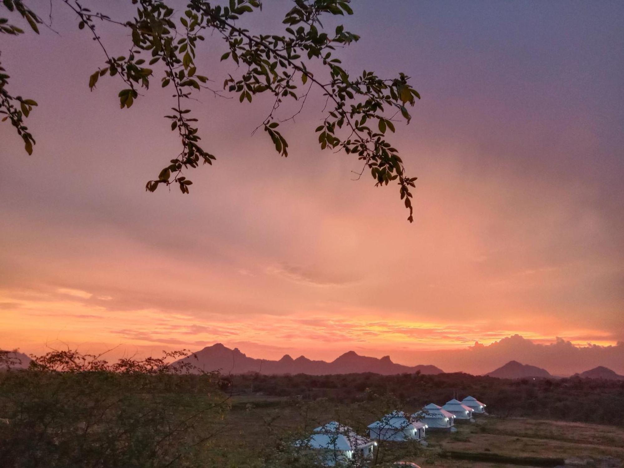 The Bagheera Bagh Jawai Ξενοδοχείο Bera Εξωτερικό φωτογραφία