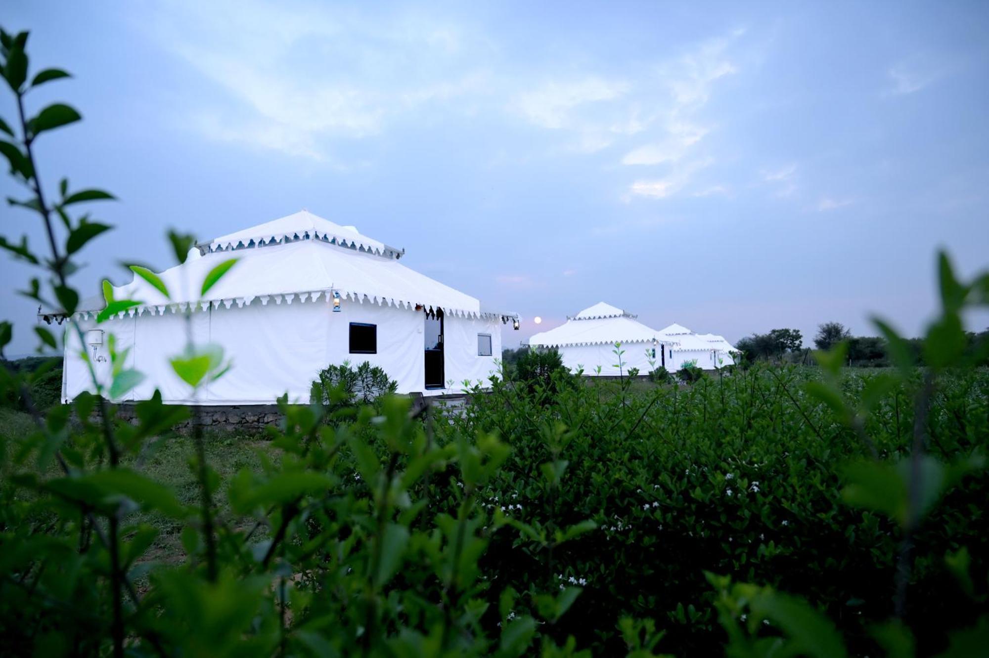 The Bagheera Bagh Jawai Ξενοδοχείο Bera Εξωτερικό φωτογραφία